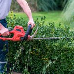 Applicazione giardinaggio generatore PX4000 Pramac